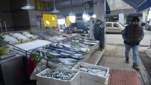 Olumsuz hava koşulları balık fiyatlarını artırdı