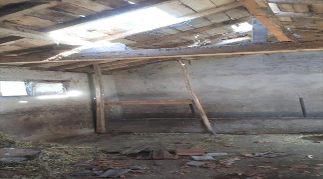 Onarmaya çalıştığı ahırın çatışından düştü