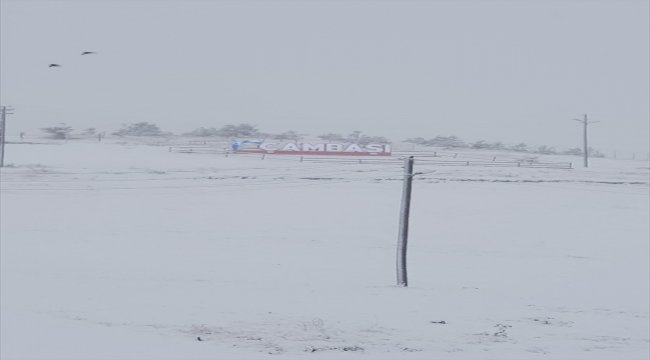 Ordu'da kar yağışı