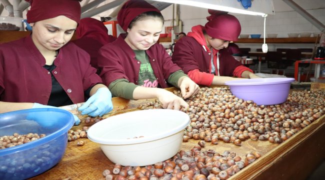 Ordu'da OSB'lerde istihdam hedefi 30 bin