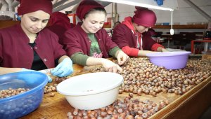 Ordu'da OSB'lerde istihdam hedefi 30 bin