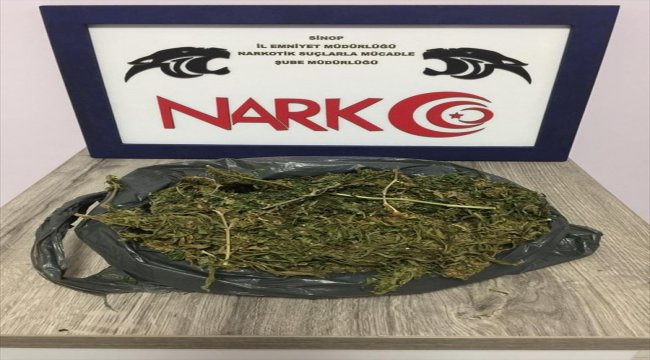 Sinop'ta uyuşturucu operasyonu