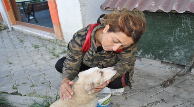 Sokak hayvanlarını hayatına "ortak" ediyor