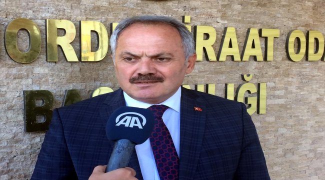 TMO fındık alımı için hazırlıklarını tamamladı