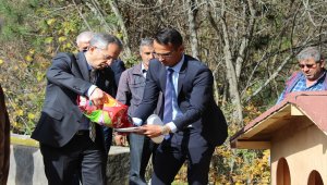 Tosya'da sokak köpekleri için kulübe