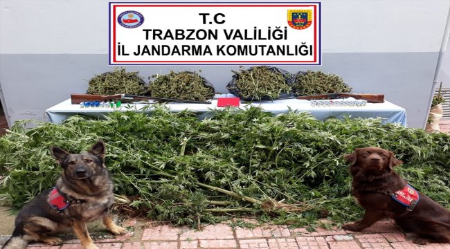 Trabzon'da uyuşturucu operasyonu