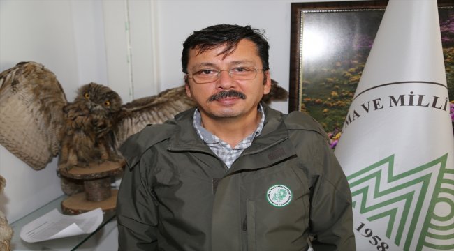 Usulsüz bıldırcın avına 402 lira ceza