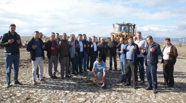 Vezirköprü'den Amasya Şeker Fabrikası'na pancar sevkiyatı