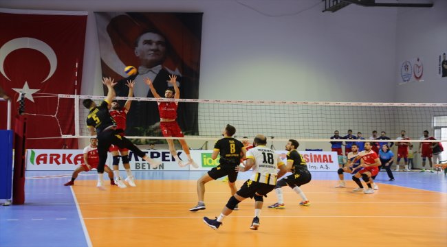 Voleybol: Efeler Ligi