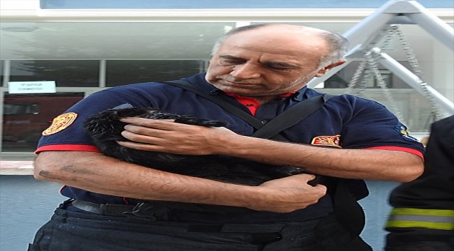 Yangından kurtarılan kediyi itfaiye hayata döndürdü
