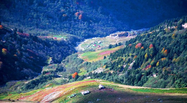Yeşil Yol Projesi çalışmaları