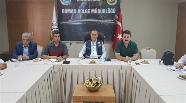 Zonguldak'ta defne yaprağı üretiminin arttırılması hedefi