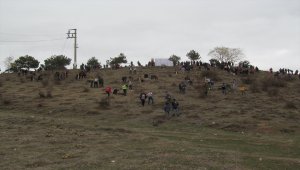 "1453 Fidan Toprakla Buluşuyor" projesi