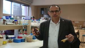 AIDS tedavisinde "propolis" şifası