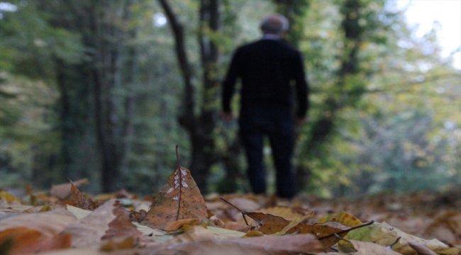 Akçakoca’da sonbahardan kalma güzellik yaşanıyor
