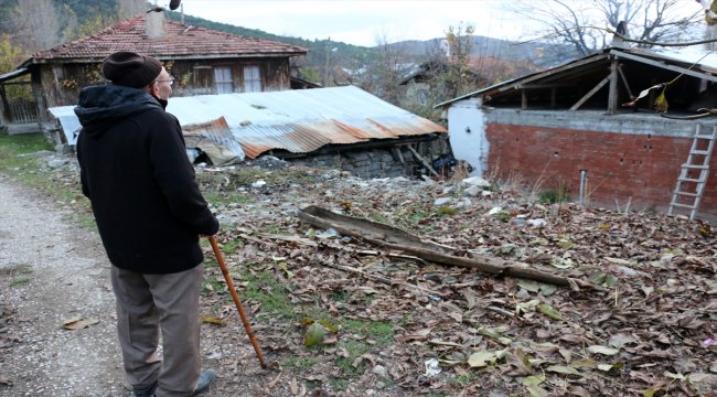 "Ali dede" yeni evinde kedileriyle mutlu