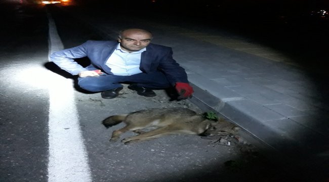 Tosya'da bağımlılık ile mücadele toplantısı yapıldı