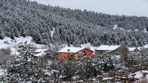 Bolu'da kar yağışı