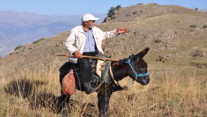 Çobanlıktan kazandığı parayla hacca gidecek