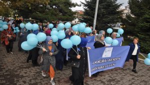 Diyabete dikkat çekmek için yürüdüler
