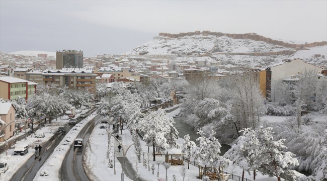 Doğu Karadeniz'in yüksek ve iç kesimlerinde soğuk hava ve kar, yaşamı olumsuz etkiliyor