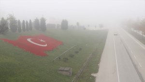 Düzce'de sis