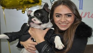 Farkındalık için köpeğine "doğum günü" düzenledi