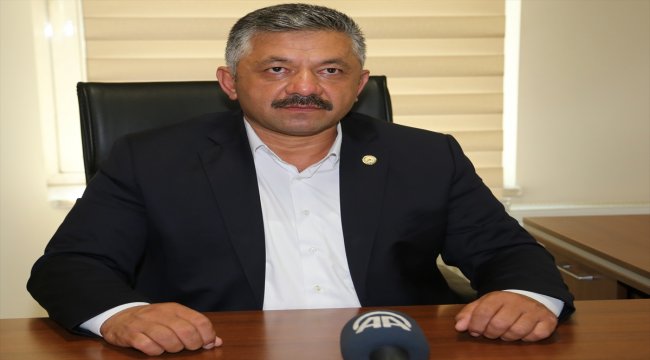 Fındıkta kış bakımı verim ve kaliteyi artıyor