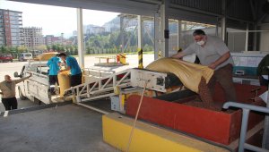 Giresun'da TMO fındık alımına başladı