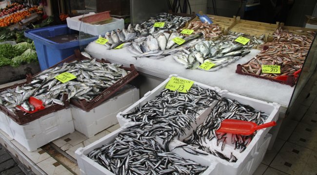 Hamsi balıkçıların yüzünü güldürüyor