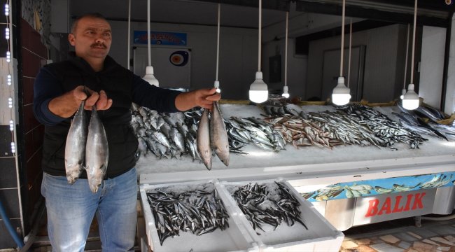 "Hamsiyi aralık ayında bekliyoruz"