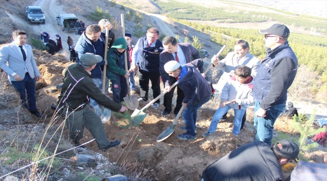 "Her Hafız Bir Fidan" etkinliği kapsamında fidan dikildi