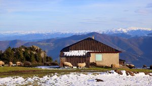 "Hıdırnebi" Uzungöl'e alternatif olacak