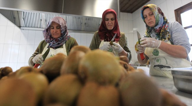 Kadın girişimcilerden "kalıntısız" turşu ve reçel üretimi