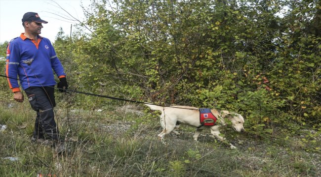 Kastamonu'da kayıp alzaymır hastası aranıyor