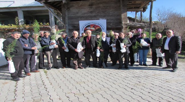Kavak'ta mahalle sakinlerine ücretsiz fidan dağıtımı