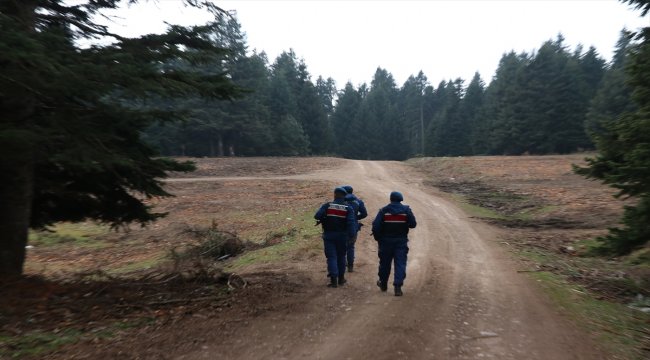 Mantar toplarken kaybolan kadını arama çalışması başlatıldı