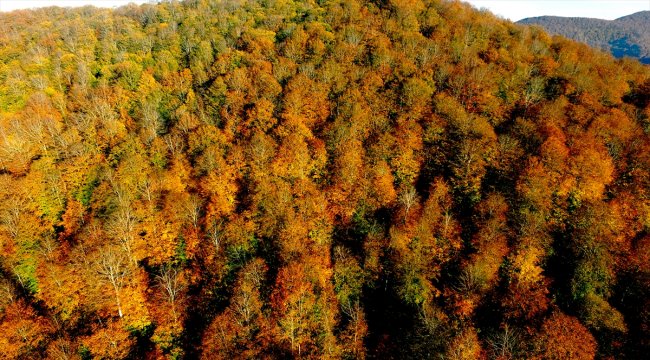 Nebiyan Dağı'nda sonbahar