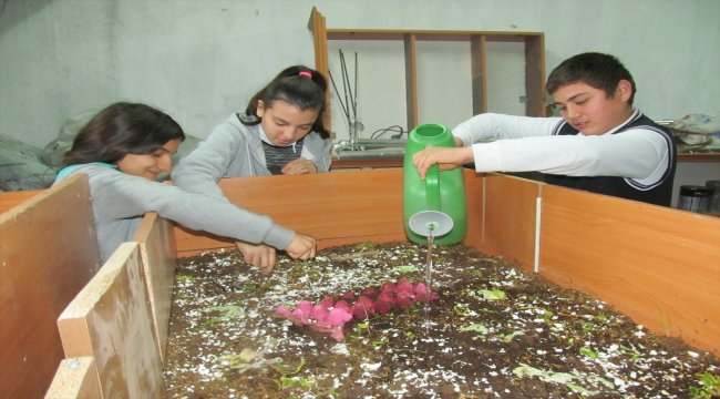 Öğrenciler okulda solucan gübresi üretiyor