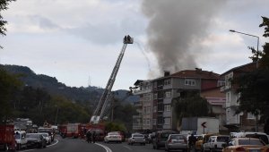 Ordu'da yangın