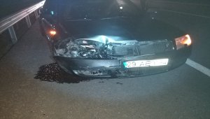 Otomobil ayıya çarptı: 3 çocuk yaralı