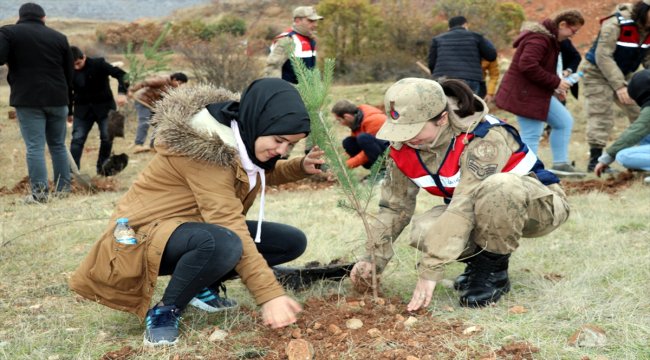 Sevgi Evlerinde kalan çocuklar fidan dikti