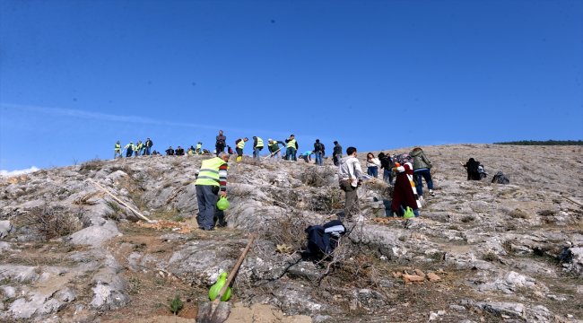 Tokat'ta bin 600 fidan dikildi