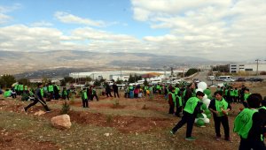 Tokatlı öğrenciler fidan dikti
