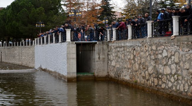 Yeşilırmak'taki toplu balık ölümleri