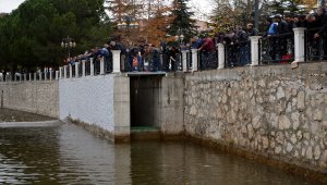 Yeşilırmak'taki toplu balık ölümleri