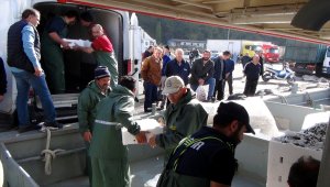 Zonguldak'ta hamsi bereketi