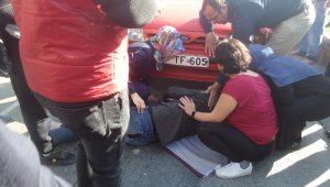 Balık avlayan su samuru ilgi odağı oldu