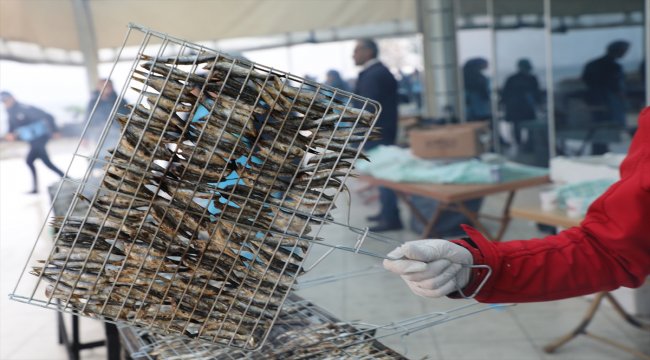 2 günde ayıklanan 1,5 ton hamsi 2 saatte tüketildi