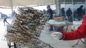 2 günde ayıklanan 1,5 ton hamsi 2 saatte tüketildi